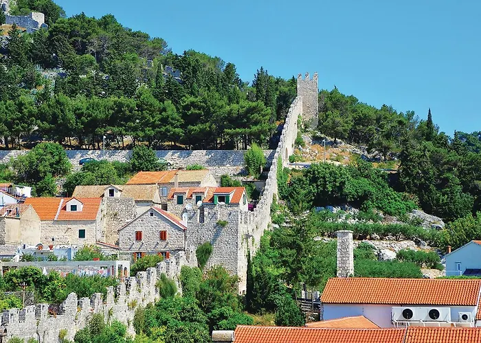Pet Friendly In Hvar Hvar Town